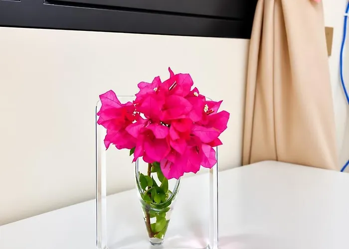 Sato Crystal * Moalboal